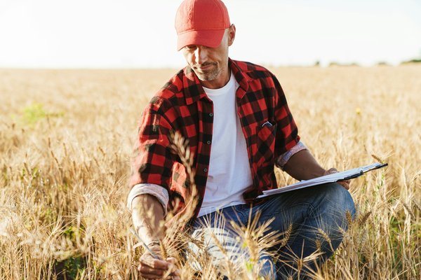 Découvrez notre sélection exquise de casquettes tracelet pour hommes